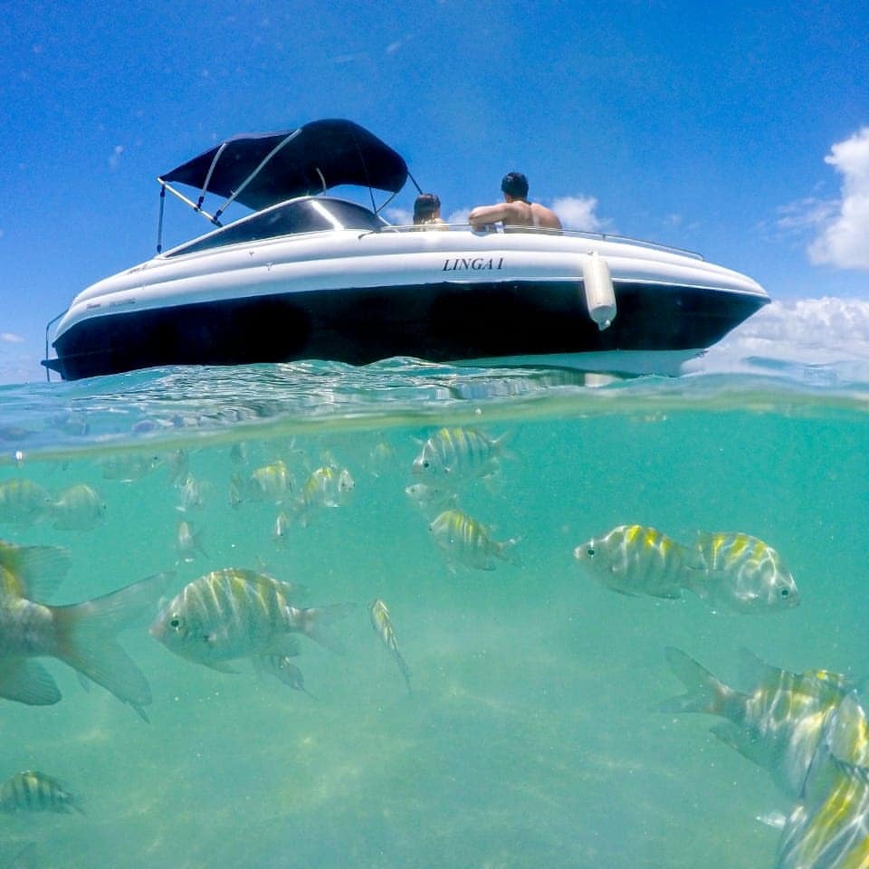 Foto de uma lancha no mar com peixes nadando ao redor