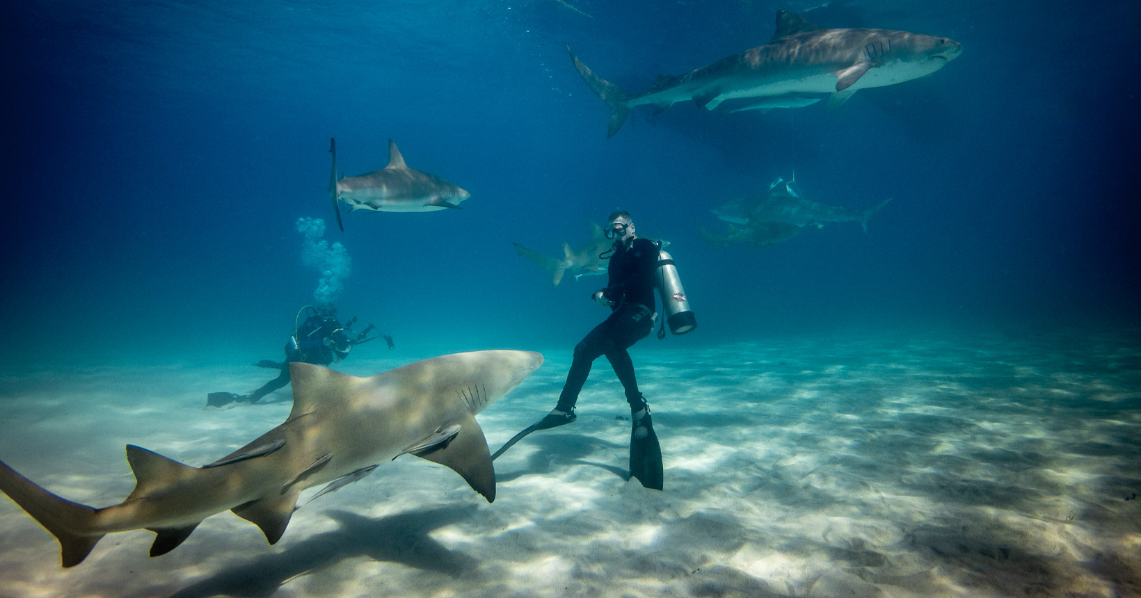 Uma pessoa mergulhando com tubarões